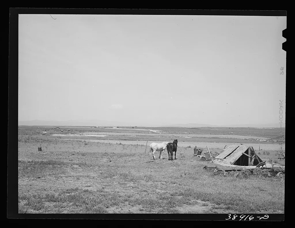 Character of farming land on Dead Ox Flat, part of the Vale-Owyhee…, Oregon, 1941