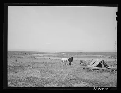 Character of farming land on Dead Ox Flat, part of the Vale-Owyhee…, Oregon, 1941