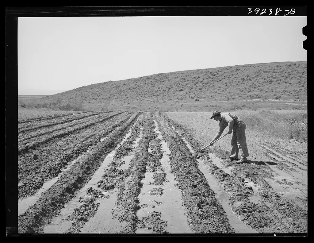 Newly-arrived farmer on the Vale-Owyhee irrigation project. Malheur…, Oregon, 1941