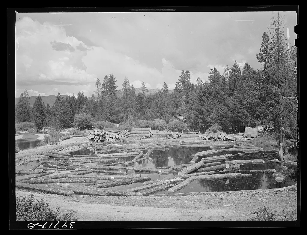 Logs in pond. Cascade, Idaho, 1941