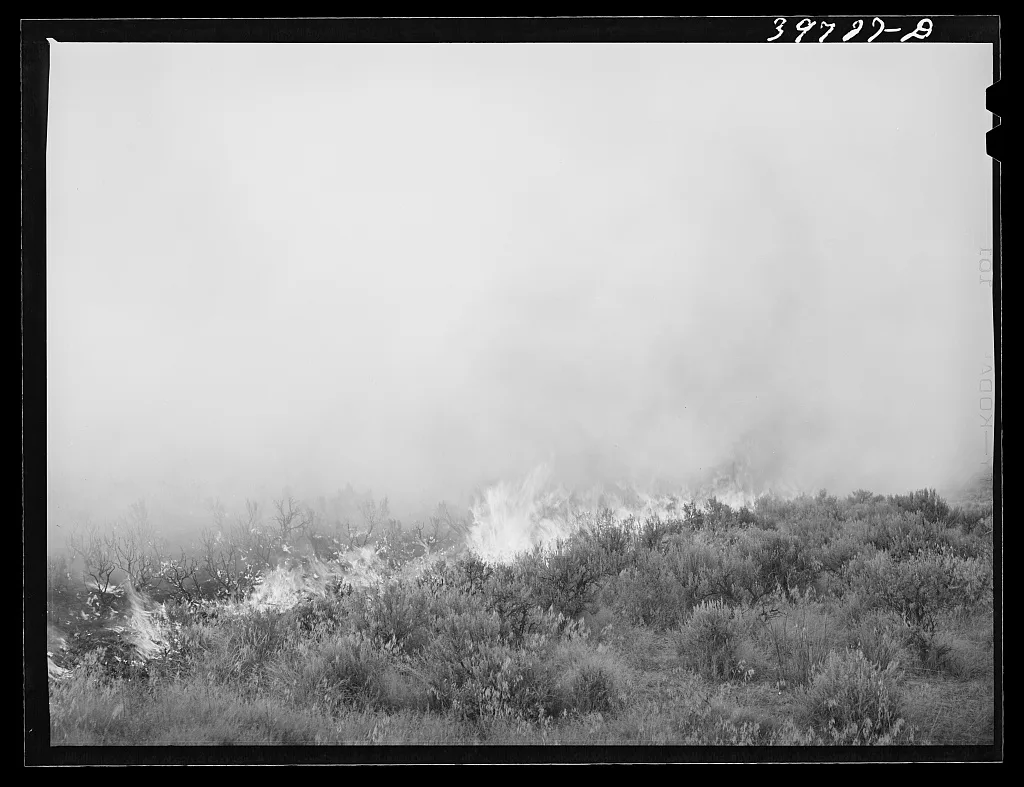 Detail of grass fire in Canyon County, Idaho, 1941