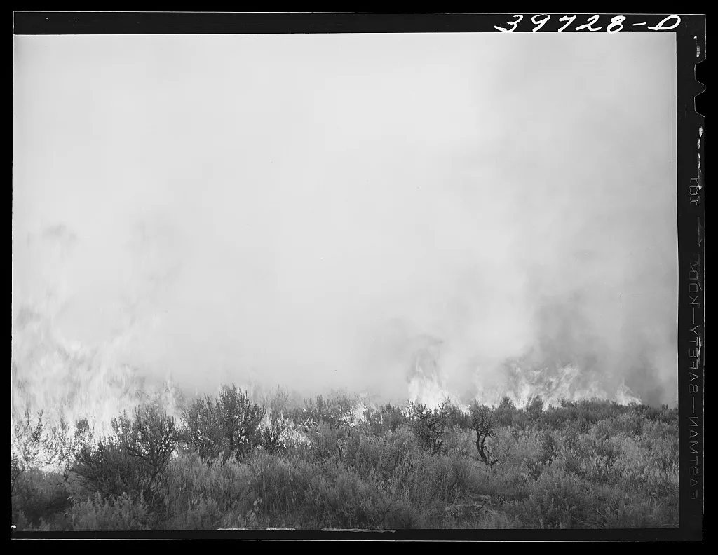 Detail of grass fire. Boise County, Idaho, 1941