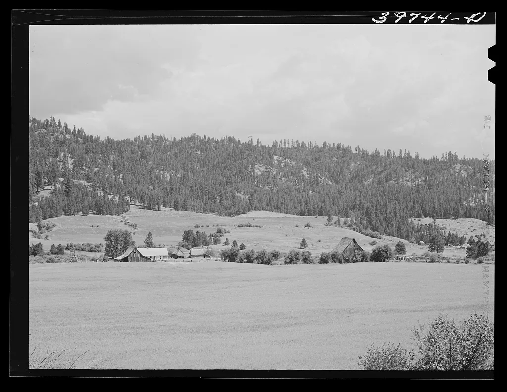 Farmland and farmstead. Garden Valley, Boise County, Idaho, 1941