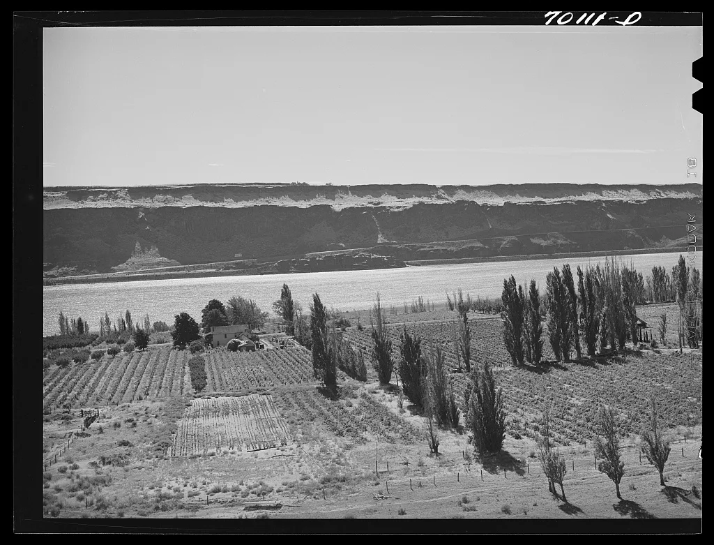 Farm along Columbia River. Klickitat County, Washington, 1941