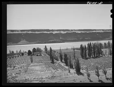 Farm along Columbia River. Klickitat County, Washington, 1941