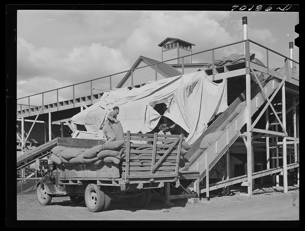 Taking sacks of hops into the kiln. Yakima Chief hop ranch, Yakima…, Washington, 1941