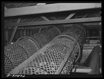 Rollers used in stationary-type mechanical hop picker. Yakima County,…, Washington, 1941