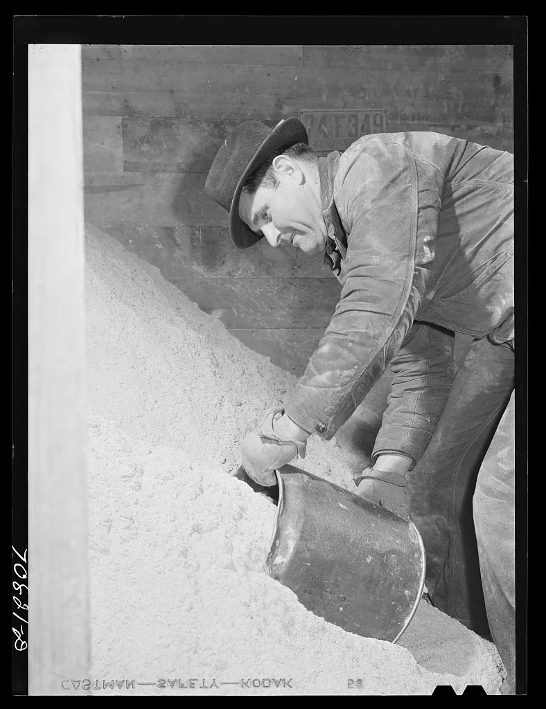 Lee Wagoner, Black Canyon Project farmer, gets feed for his cattle.…, Idaho, 1941