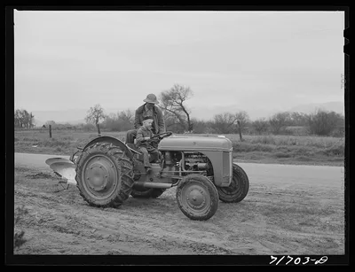 Tulare County, California. Farmer teaching his young son to drive the…, 1942