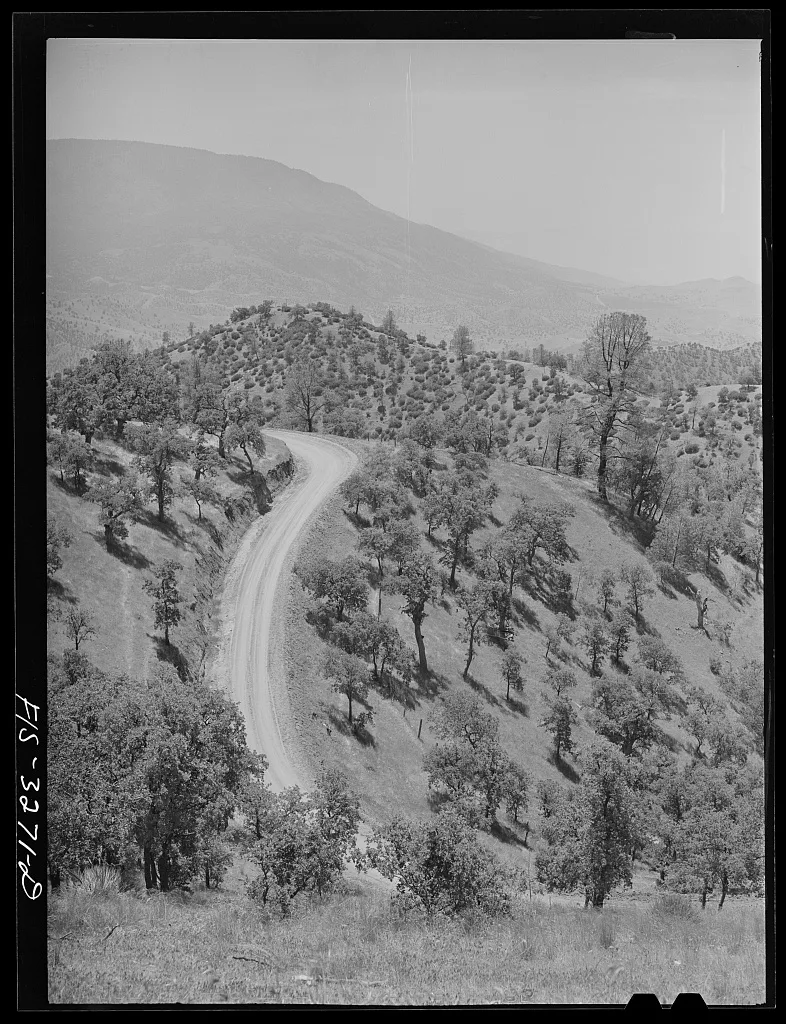 Kern County, California. Road through the hilly country, 1942