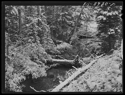 Photograph from Montana: Little Belt Mountains, Meagher County, Montana.…